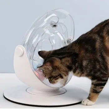 

New Cat Exercise Educational Catching Track Roller Toy Pet Interactive Game Puzzle Toy Space Ring With Ball