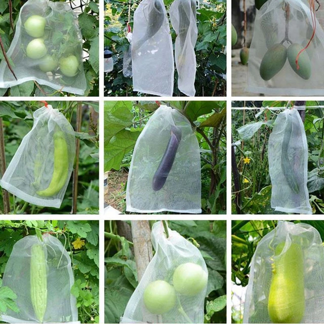 1 Pc Nejlon Hálózsák Rovarálló Kerti Növényi És Gyümölcsvédő Zsák Kártevőirtó Madárgyilkos Táskák