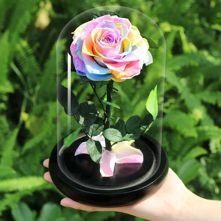 Красавица и Чудовище Forever Rose Flower консервированная бесцветная свежая роза в стеклянном куполе Свадебные украшения подарки на день Святого Валентина - Цвет: Multicolor