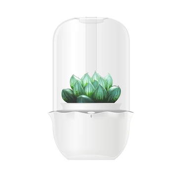 

ligent Plant&FlowerPot,Timed Illumination Potted Flowerpot with WIfi Control,Creative Indoor Desktop Decorative
