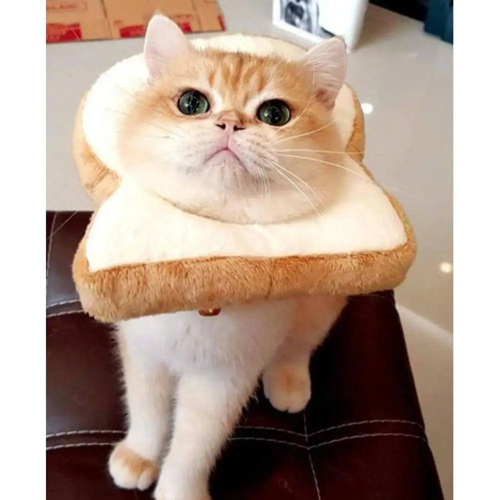 

Cute Cartoon Toast Shape Pet Headgear Cat Dressing Up Props For Small Medium Large Dogs Chihuahua Yorkshire Top selling