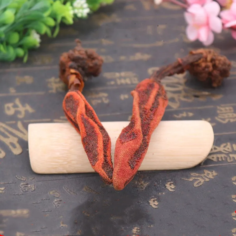 

Rejuvenation grass ,100% Natural High quality wild Cistanche herba cistanches extract, Enhance renal function