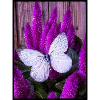 

30x40 Diy Diamond Painting 5d for Home Decor , Living Room Decoration ，Flower Butterfly