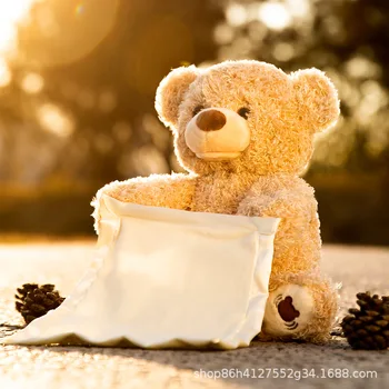 

2020 web celebrity hot style peek-a-boo little bear puzzle early education singing teddy bear stuffed toy