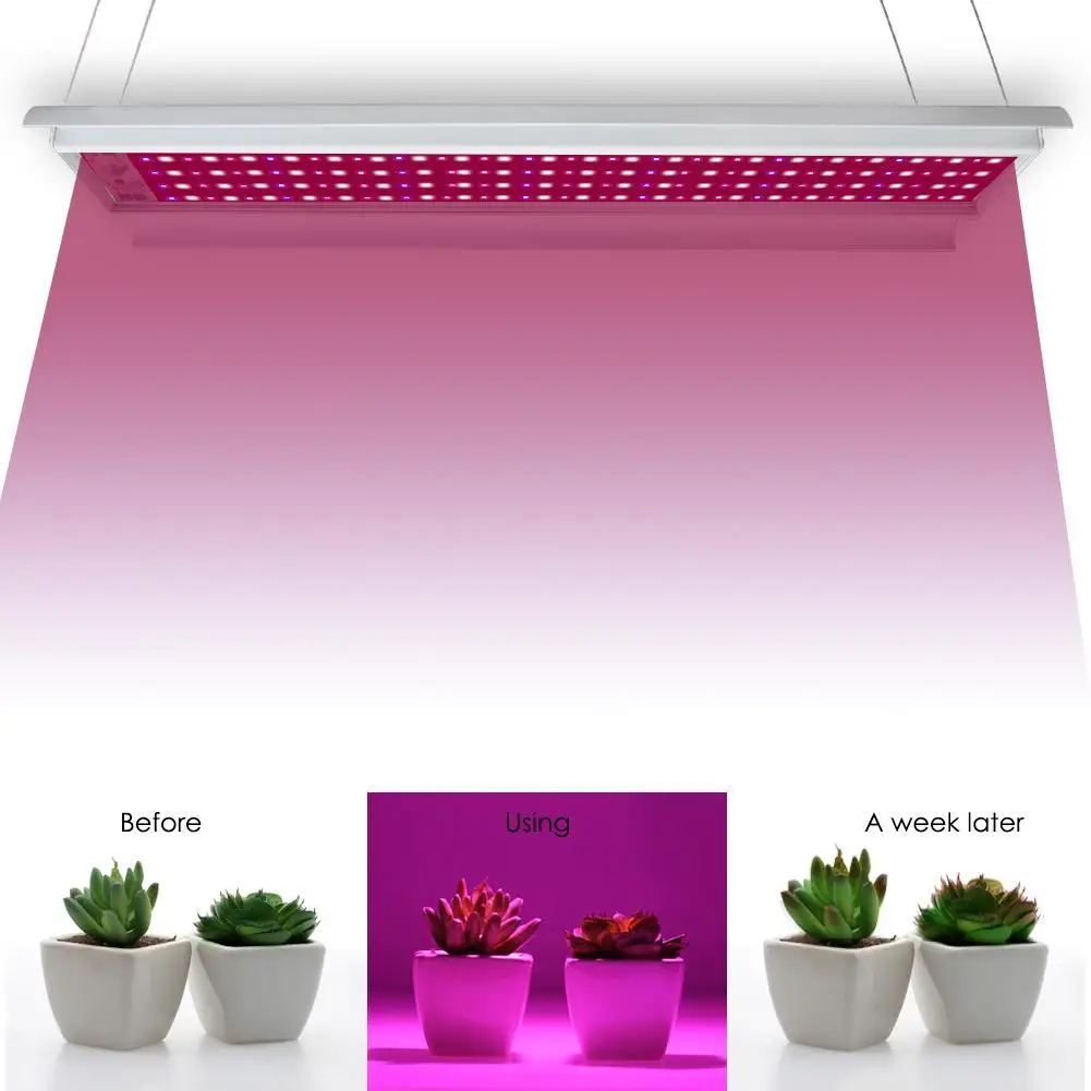 

80W Full Spectrum LED Grow Light Kit For Medical Plants Veg Bloom Indoor Plant Light Flower Growing Full Spectrum