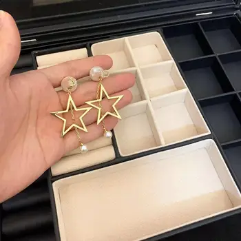 

D home 2020 new five-pointed star earrings