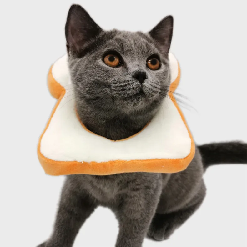 Pet kitten toasted bread head scarf white collar cute trick headdress | Дом и сад