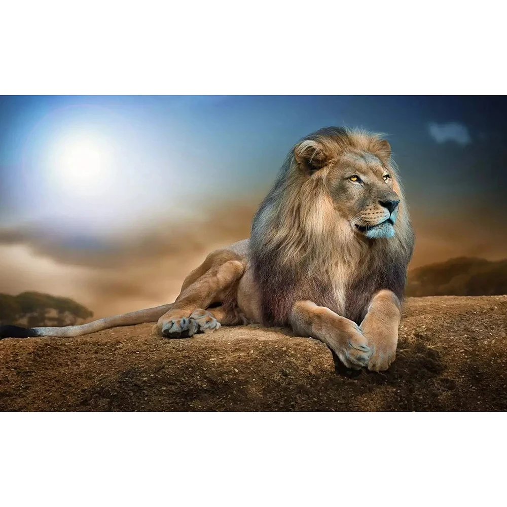 Zooya Diy 5D Full Diamond Painting Cross Stitch &quotLion Under The Moon&quot Mosaic Embroidery Sewing Pattern Rhinestone Jq180 | Дом и сад