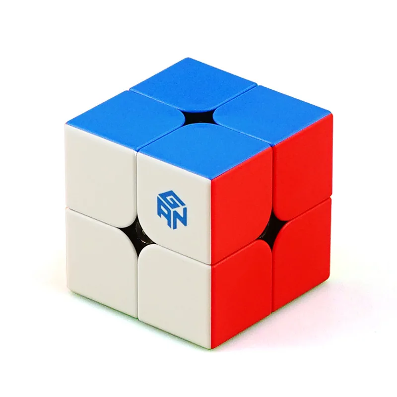 

[GAN 251m] Profession Magnetic Version Second Order Magic Cube Educational Toy Philippine God Game 2-Order Magic Cube