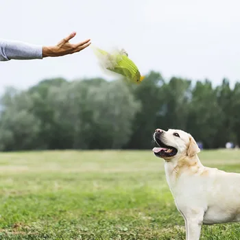 

Cleaning Interactive Training Play Toy Pet Bite-resistant Molar Toy Pet Toys, Molar Squeak Sound Scratch Chew Toy Teeth