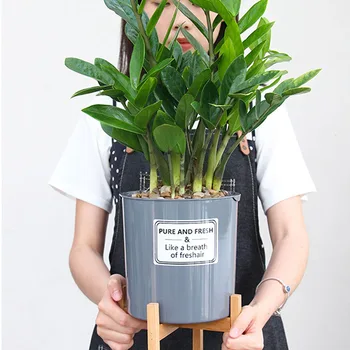 

Plant Stand Indoor Wood Flower Pot Holder Wooden Display Potted Rack Modern Home Living Room Decor Best Price