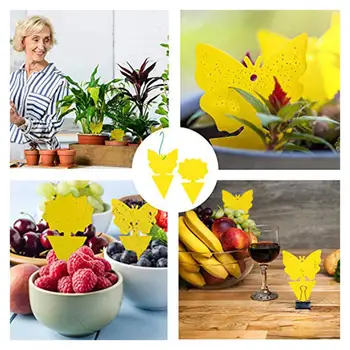 

Yellow Butterfly Shaped Insect Pest Control Garden Strong Glue Plant Sticky Traps For Aphids Dual Sided Fruit Fly Fungus 24PCS