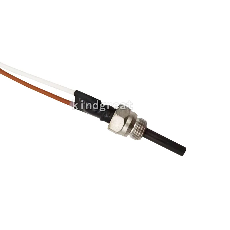 Ʈ ĳ    ׼, ۷ο ÷ 252106011000, Eberspacher 12V Hydronic D3W D4W D5W SC  
