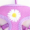 Korean Candy Color Embroidery Breathable Small Pet Dog Harness and Leash Set Soft Nylon Puppy Walking Vest for Chihuahua Yorkie 4