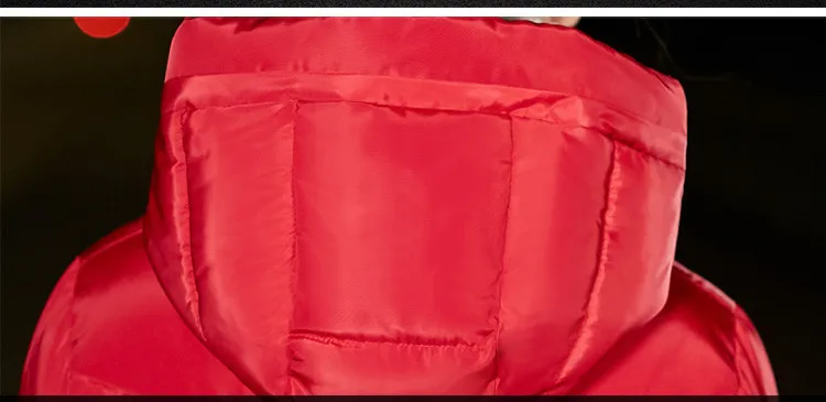 O1CN012FyESbeDRC0YDBO_!!1737368948