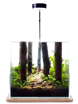 

Fish Tank Small Water-free Desktop Creative Home Living Room Aquarium Super White Glass Lazy Man Mini Douyu Ecology Acuario