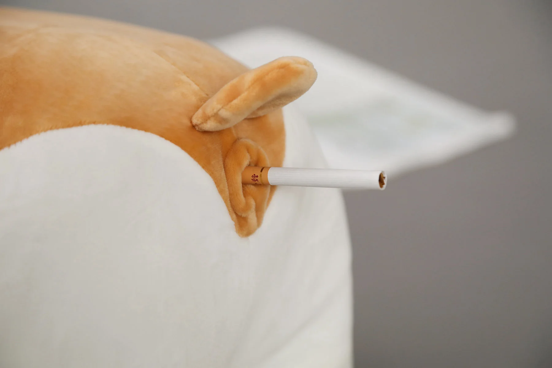 H196d23c16436473b999133cddffa3f0aw - Corgi Gifts