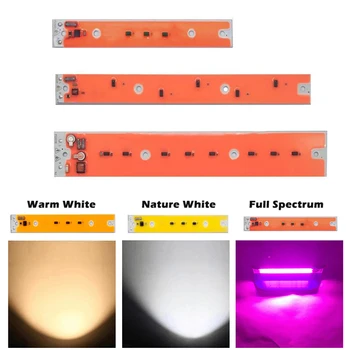 

AC 220V 30W 50W 80W COB Led Grow Light Full Spectrum Lighting Fitolampy for Plant Iodine Tungsten Lamp Indoor