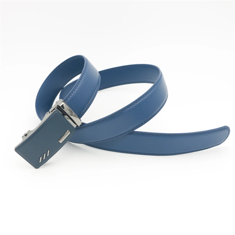 WA134 BELT 80010