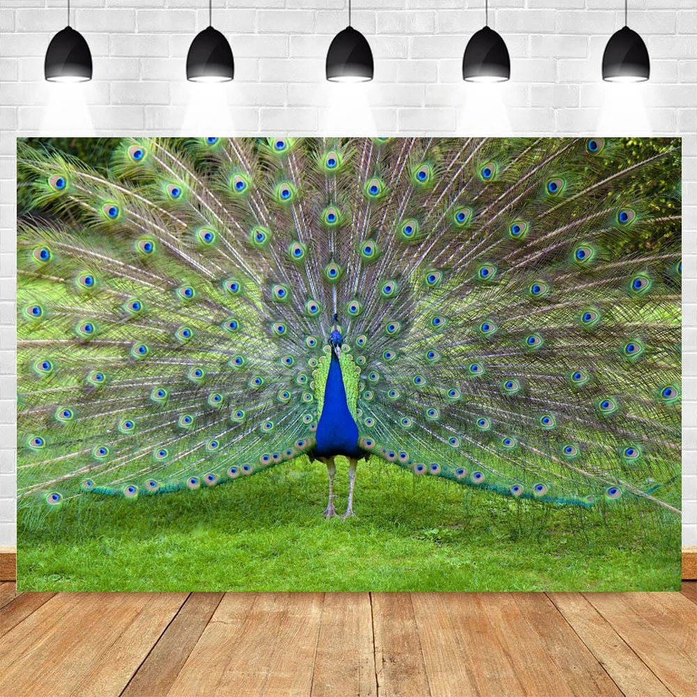 Yeele Birthday Zoo Peacock Feather Grassland Photography Backdrop Gift Photographic Studio Photo Background Decorations Prop | Электроника