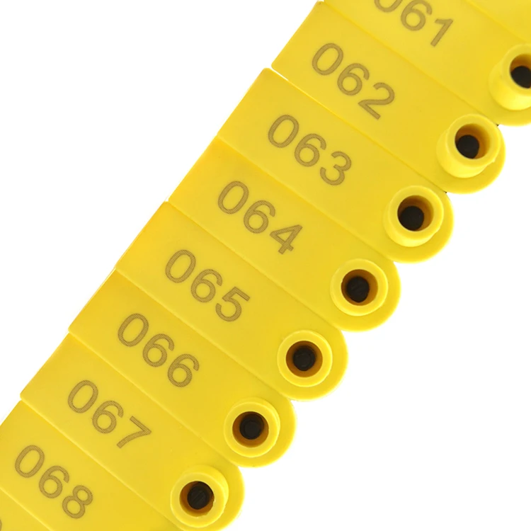 futu (5)