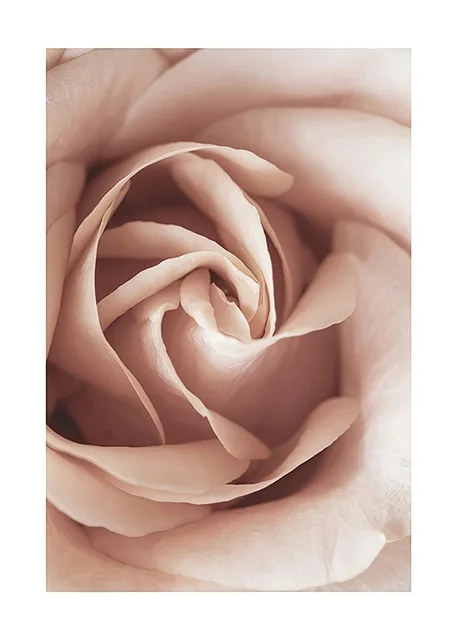 Plant Flowers Canvas Painting Minimalist Text Posters and Prints Black and White Architectural Wall Pictures for Living Room Art C