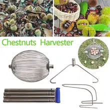 Каштаны комбайн грецкие орехи ролик гайка коллектор быстрая машина для сбора фруктов подбирающая Мячи Нержавеющая сталь сплав огород; сад инструменты