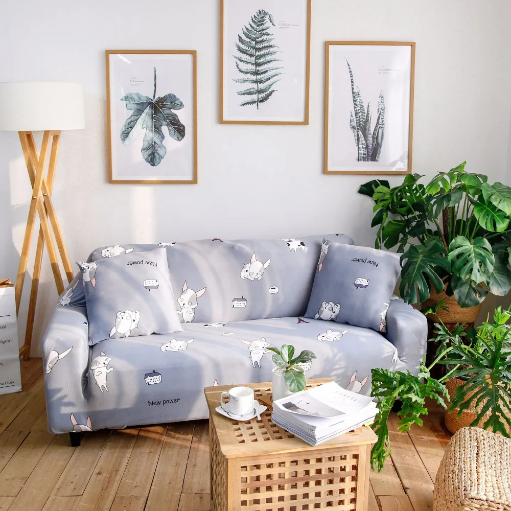 12422631247_1595806627