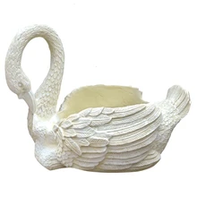 Лебедь цветок сад украшения мясистый Botany цветочный горшок орнамент вилла флорист на открытом воздухе Садоводство животных Ландшафтный пейзаж бассейна