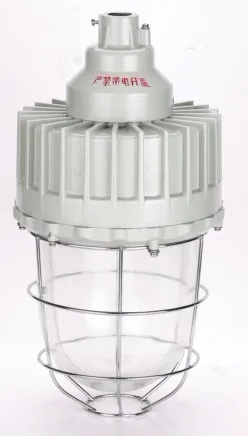 

Supply CCD93-F Dust Explosion-proof Energy-saving Lamp Manufacturers Explosion-Proof Lamp Shell Built-in Energy-saving Lamps