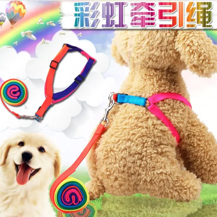

Pet Dog Harness Vest Outdoor Walking Leash For Small Medium Dogs Cute rainbow Puppy Cat Lead Pets Supply Goods