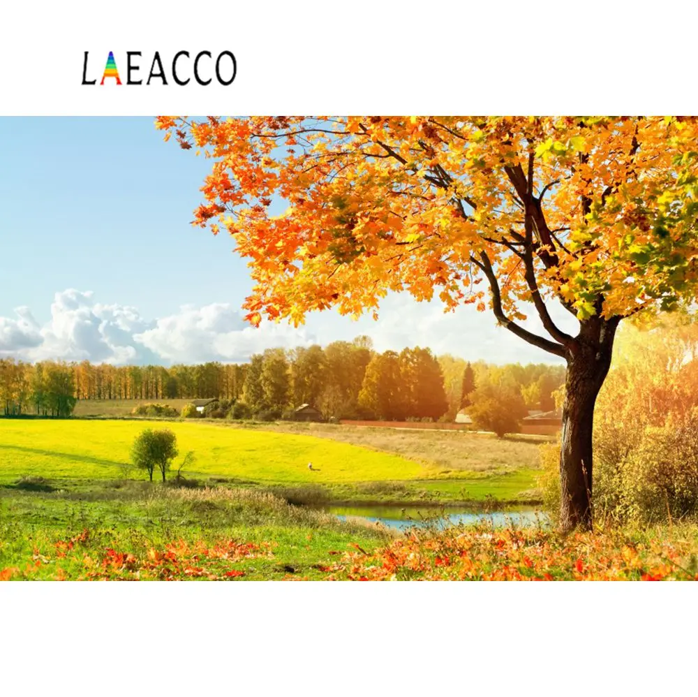 Laeacco осенние желтые деревенские сборные сезоны дерево живописные