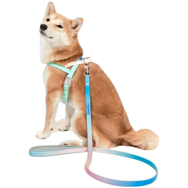 Designer Dog Harnesses Leashes  Designer Dog Harness Leash Set