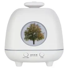 US $25.00