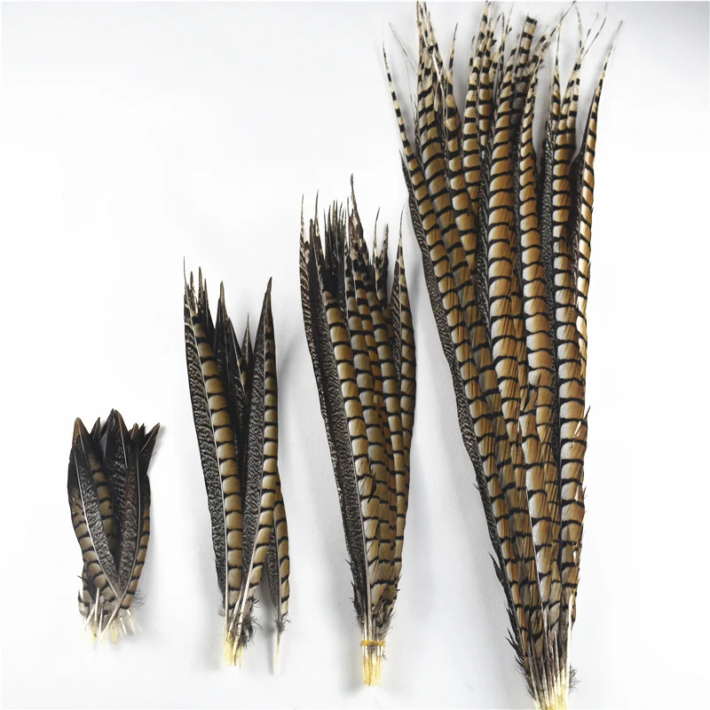 50X Lady Amherst natural green pheasant feathers for craft/millinery/jewelery 