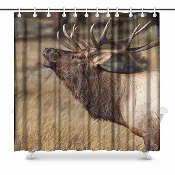 

Deer Wilderness Elk in Rocky Mountain National Park House Decor Shower Curtain for Bathroom, Decorative Bathroom Shower Curtain