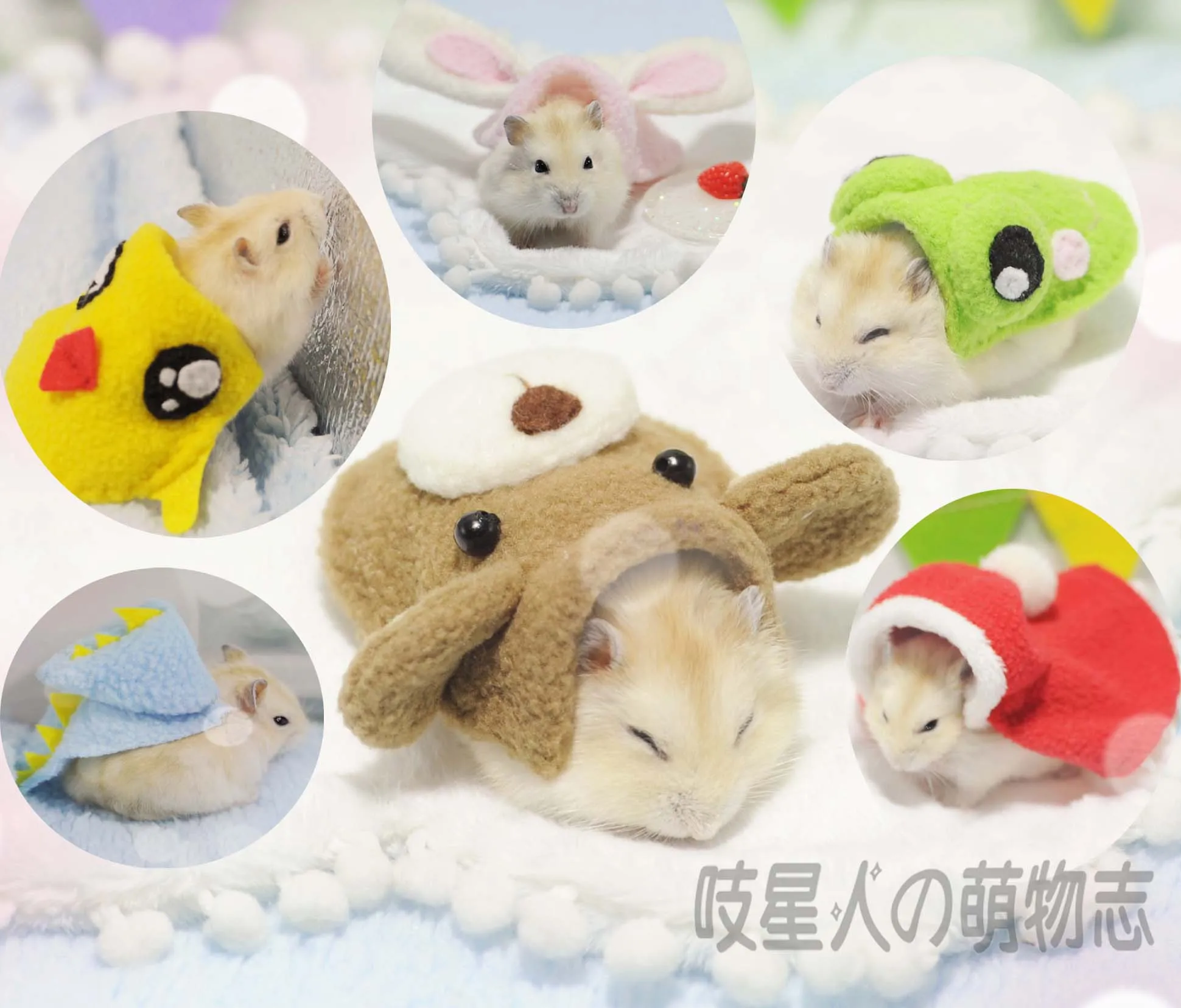 Hamster Cape Pig-Hedgehog Guinea-Pig Chinchilla Golden Honey-Glider Dutch Cute Suit Bear-Hat