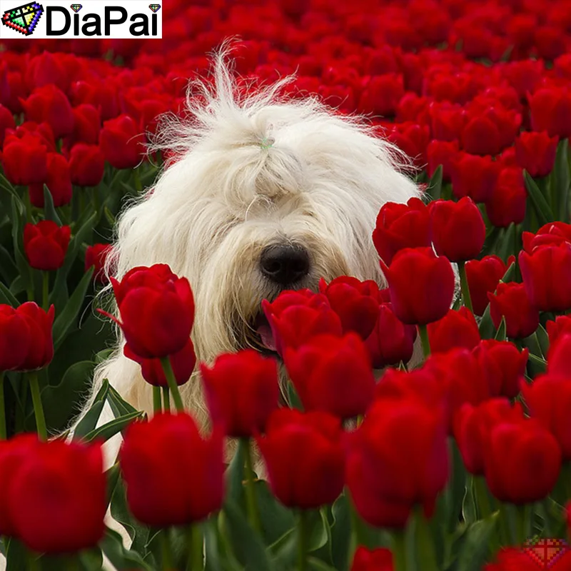 DIAPAI Diy 5d алмазная картина "животное собака цветок" вышивка крестиком квадратная круглая Алмазная вышивка ручная работа горный хрусталь