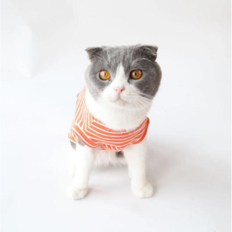 cooling vests for cats