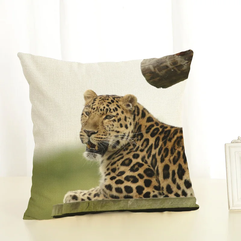 8823433667_1255064235