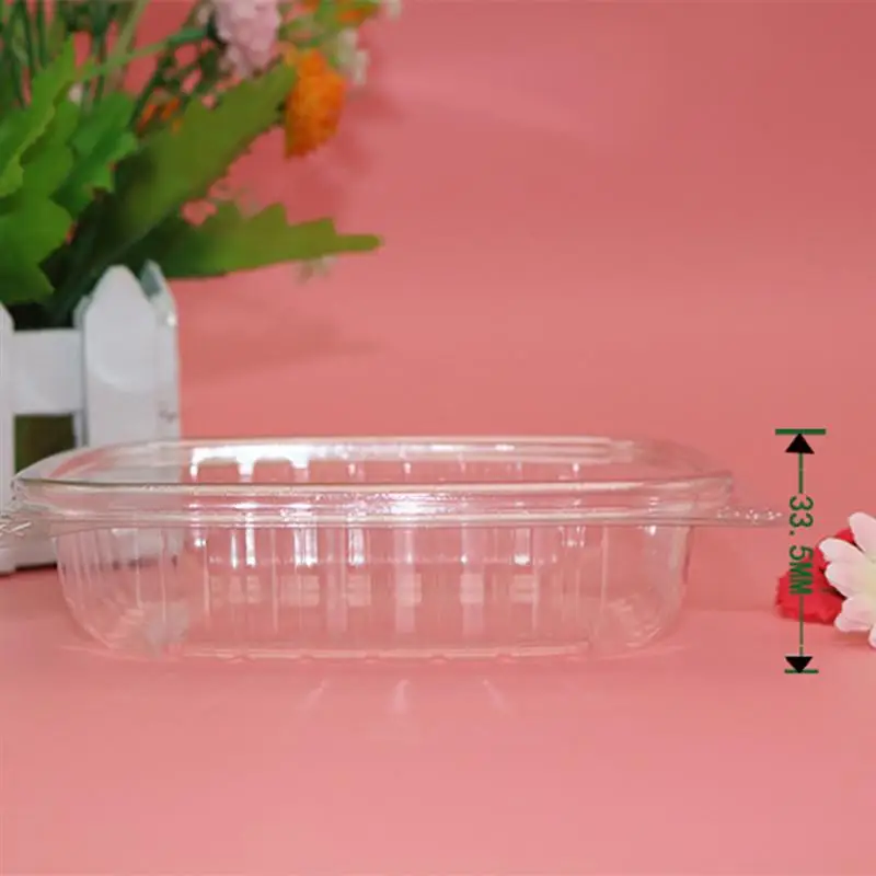 20PCS Disposable Box Fruit storage Transparent Rectangle Salad Rice Packing Container Take Out Box Food Sealed Storage Container