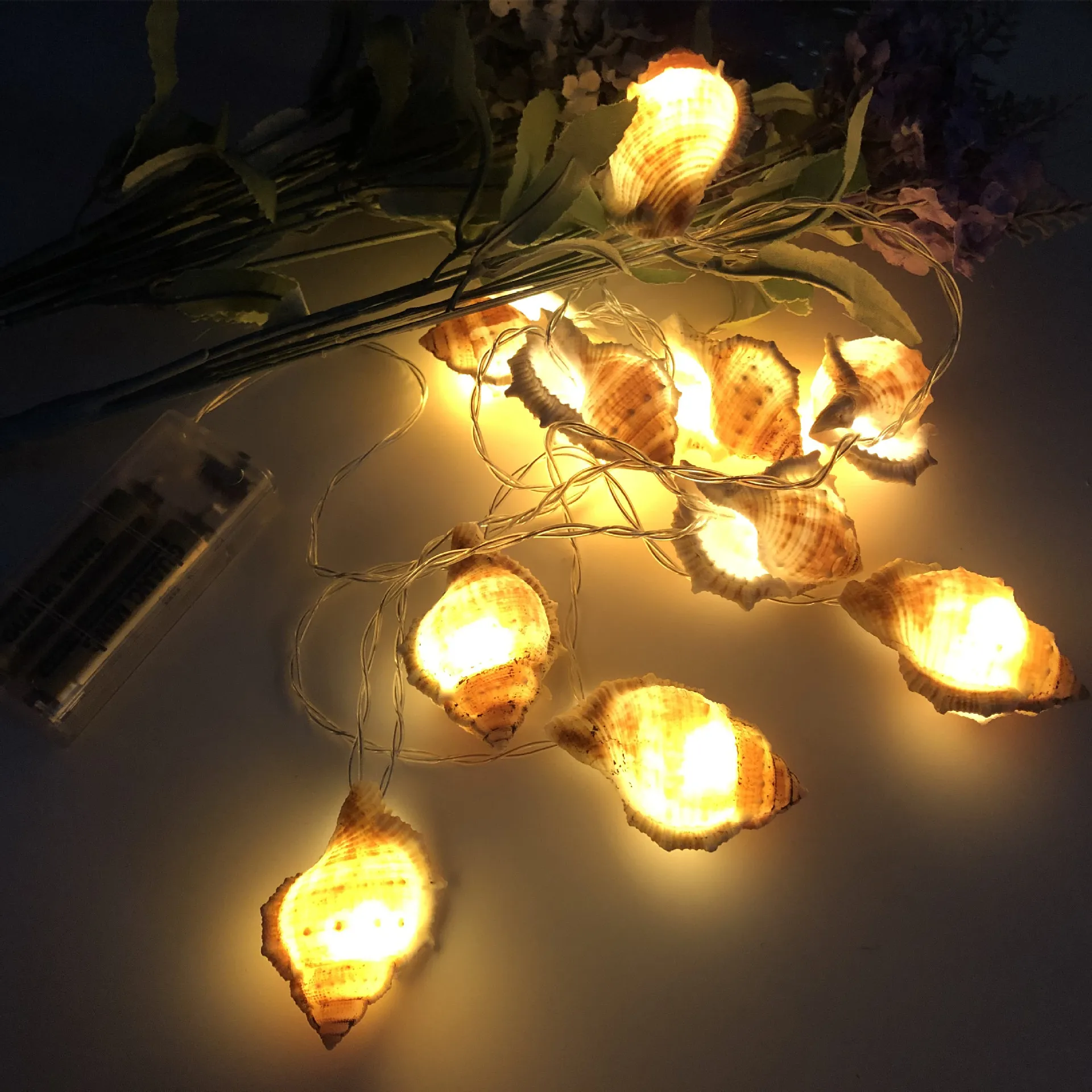 PheiLa LED Conch Shell String Light Refreshing Ocean Lamp String Battery Operated for Outdoor Indoor Courtyard Railing Decor 14 6v 20a charger intelligent aluminum shell is applicable to 4s 12 8v outdoor lifepo4 battery 12v charger safe and stable