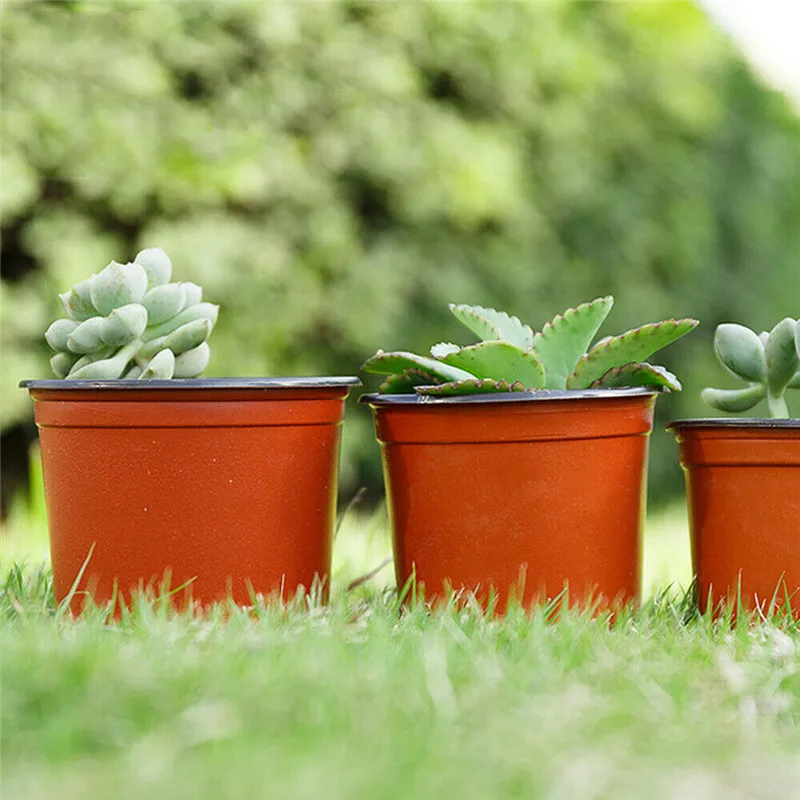 Nursery Pots (1)