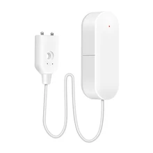 google home leak detector