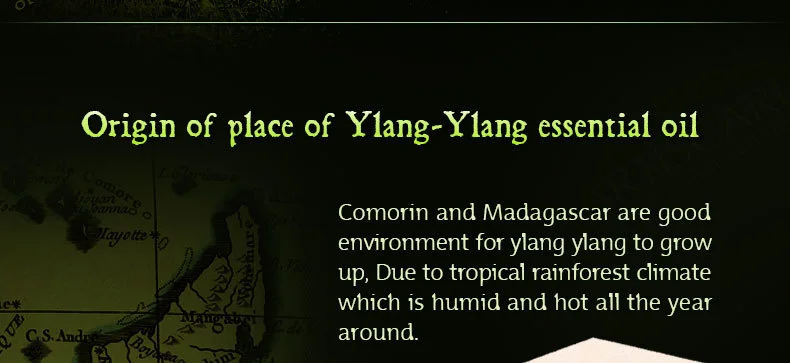 ylang-ylang_03