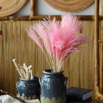 

15Pcs/Bunch 3 Colors Natural Dried Small Pampas Wedding Home Decor Reed Grass Dried Natural Phragmites Bouquets Flowers