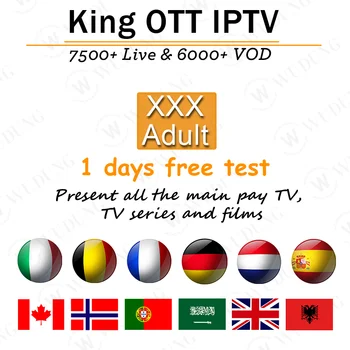 

OTT European 8000+Channels IPTV Subscription Free Test XXX Spain France Portugal Albania Netherlands UK Canada Adult IPTV