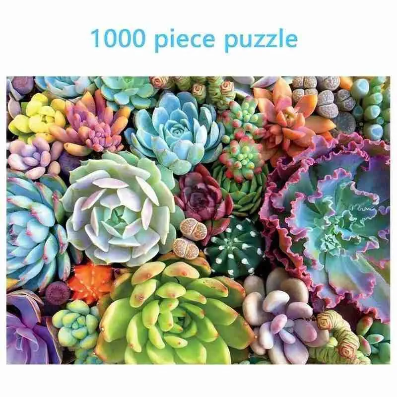 1000 Pieces Adult Children Jigsaw Puzzles Succulent Plants Kid Puzzle Game UK 