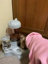 7 pocilga Gato tazón para comida de perro de tazones de alimentación 2 L perros de alimentación fuente de agua potable de 600ml Waterer gatito lento de cachorro