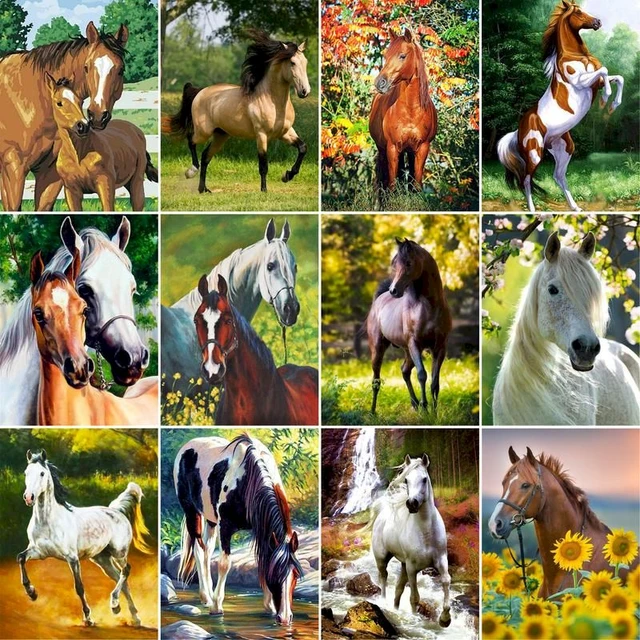 GATYZTORY-Pintura acrílica do quadro para adultos, desenho do cavalo,  colorir por números, animais handmade pintura, decoração Home - AliExpress